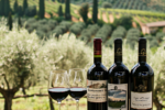 Thumbnail for the post titled: Gastronomic tour of Tuscany: from winemakers to olive groves